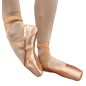 STUDIO 2 - Pointes de danse classique intermédiaire - DanseBoutique