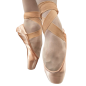 STUDIO 2 - Pointes de danse classique intermédiaire - DanseBoutique